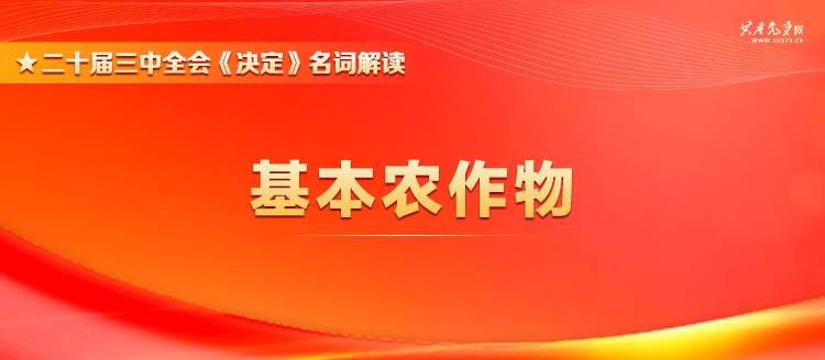 三中三资料,最佳精选解释落实_定制版3.18