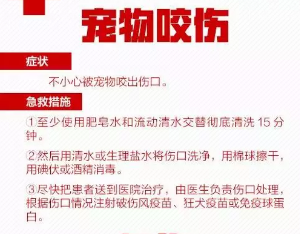 安阳司机最新招聘信息与职业前景探讨